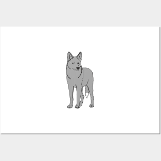 grey Wolf Posters and Art
